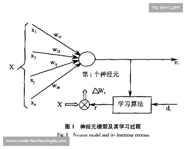 对象追踪算法持续改进,球员ID识别精度提升 对象追踪算法持续改进,球员ID识别精度提升